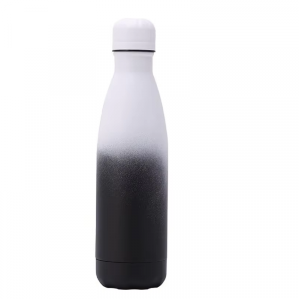 bulk stainless steel water bottles,reusable water bottles,insulated water bottles,stainless steel bottles wholesale,eco-friendly water bottles,promotional water bottles,corporate water bottles.