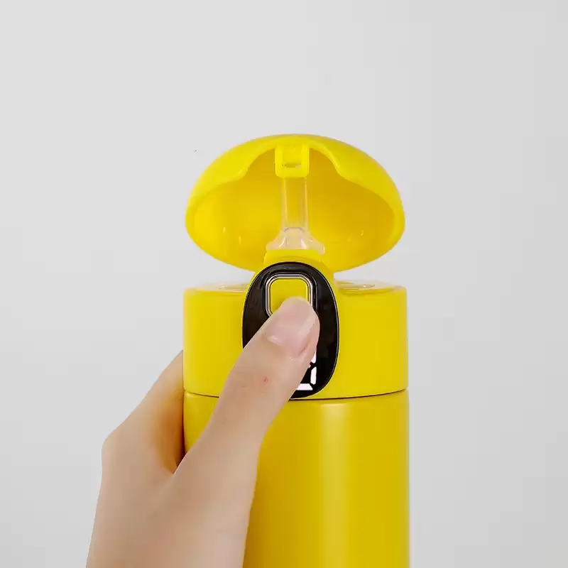thermos water bottle with temperature display